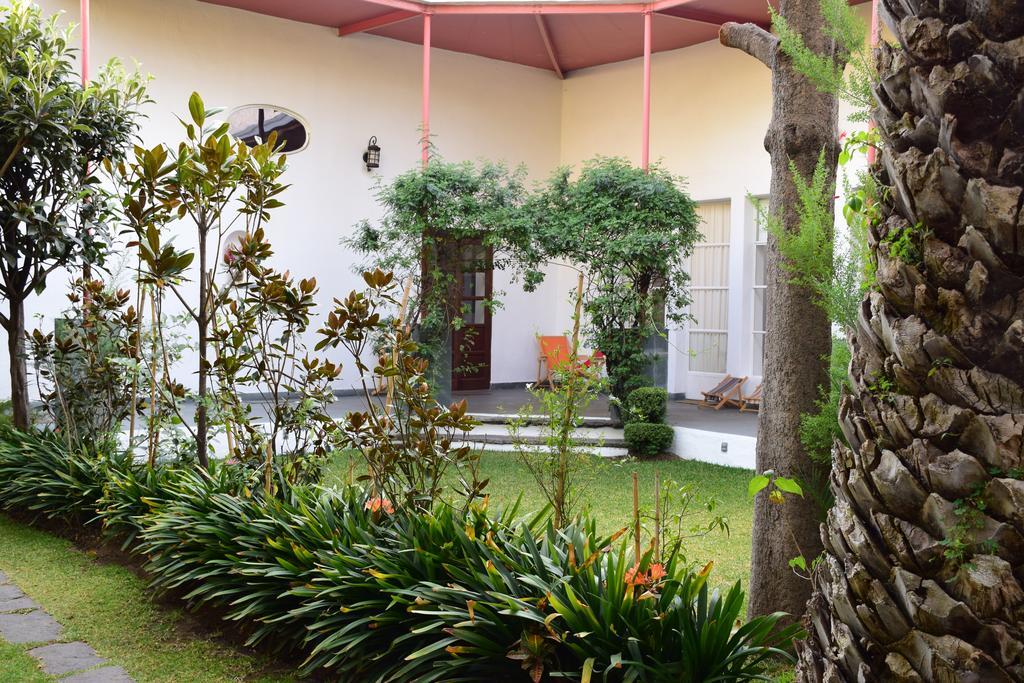 La Casa De Las Magnolias Hotel Coyoacan Exterior foto